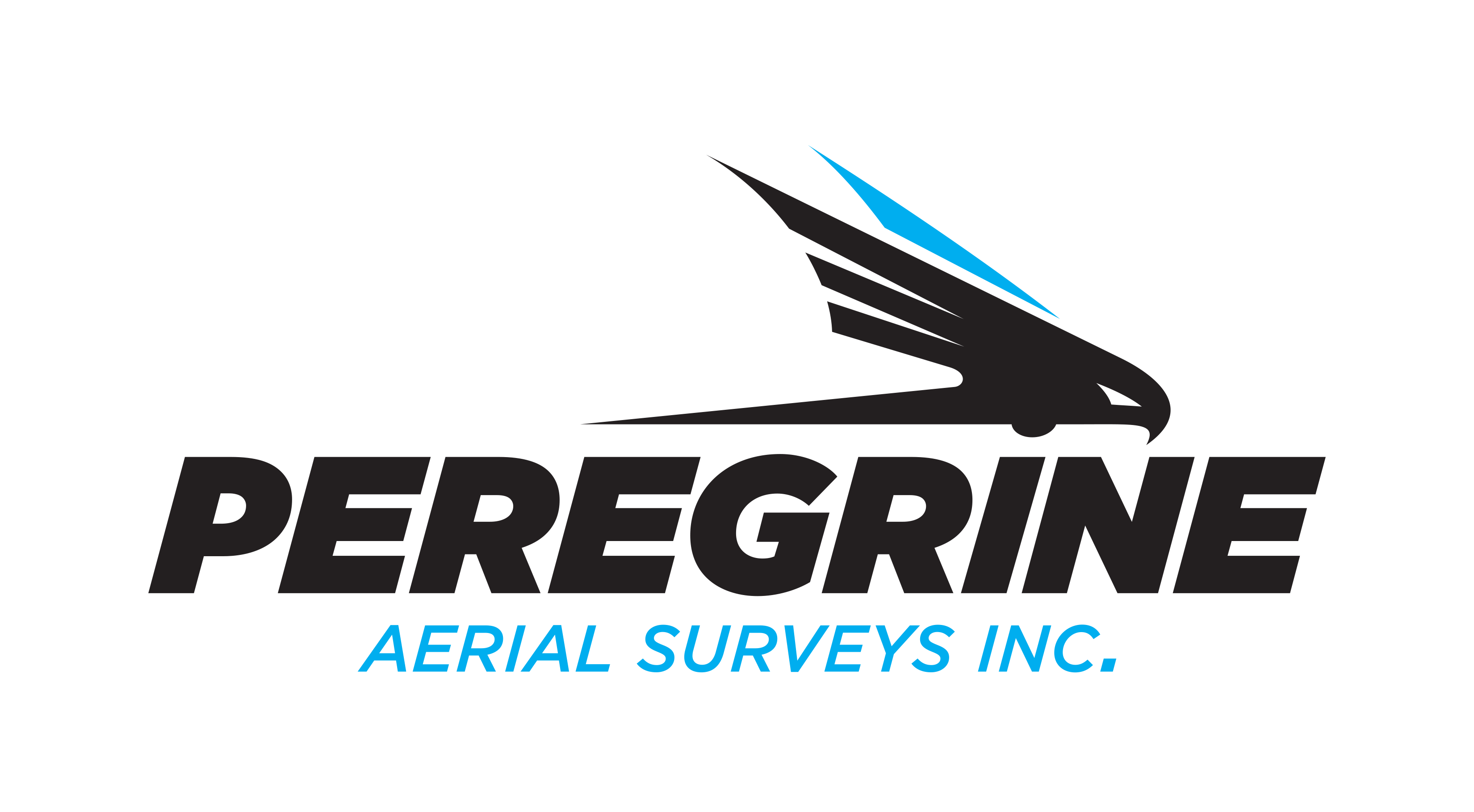 Peregrine Logo